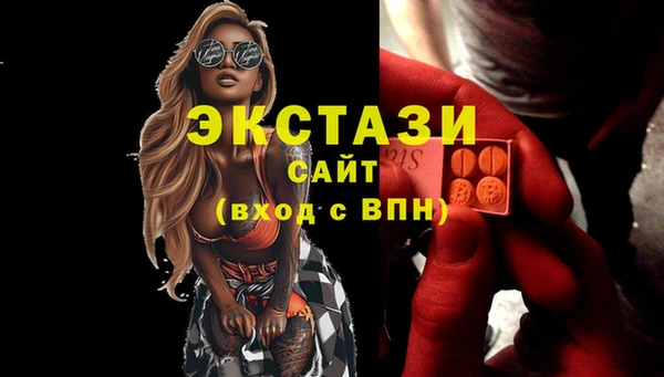 стафф Осташков