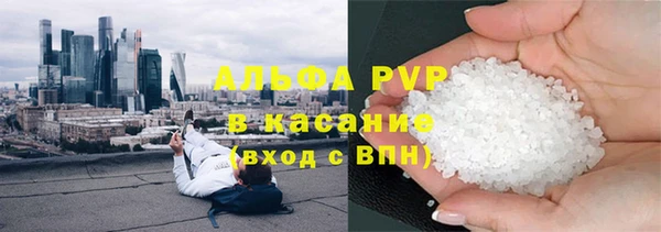 стафф Осташков