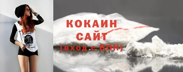стафф Осташков
