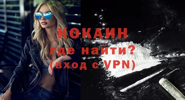 стафф Осташков