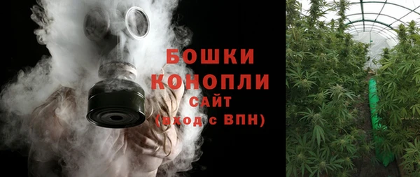 стафф Осташков