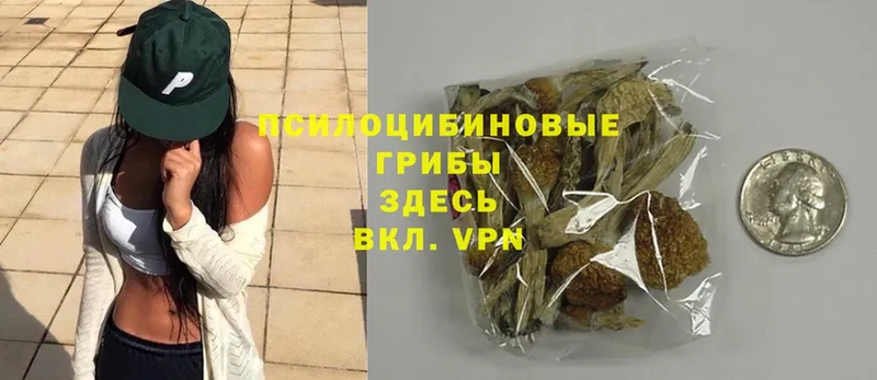 Псилоцибиновые грибы MAGIC MUSHROOMS  Болхов 